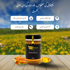 ✅  𝗔𝗰𝗮𝗰𝗶𝗮 𝗛𝗼𝗻𝗲𝘆 (250gm) –Large Bee / بڑی مکھی کا خالص شہد