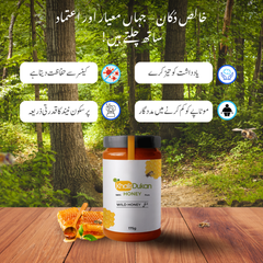 ✅  𝗪𝗶𝗹𝗱 𝗛𝗼𝗻𝗲𝘆 (175gm) – Small Bee / جنگلی چھوٹی مکھی کا خالص شہد