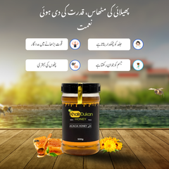 ✅  𝗔𝗰𝗮𝗰𝗶𝗮 𝗛𝗼𝗻𝗲𝘆 (𝟱𝟬𝟬𝗴𝗺) – Large Bee / بڑی مکھی کا خالص شہد