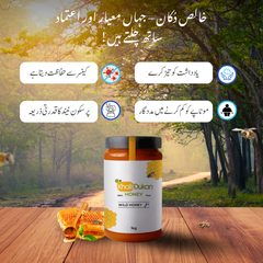 ✅𝗪𝗶𝗹𝗱 𝗛𝗼𝗻𝗲𝘆 (1kg) – Small Bee / جنگلی چھوٹی مکھی کا خالص شہد